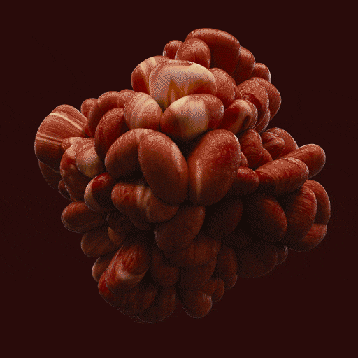 Meat me again tomorrow.